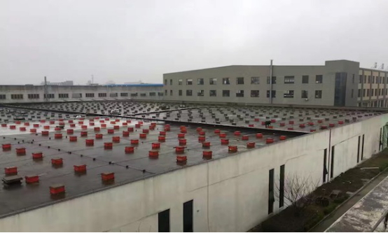 閑置屋頂變能源寶庫 天愛能源攜手潤達光伏，604.8kW綠色電站點亮未來